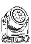 NF7